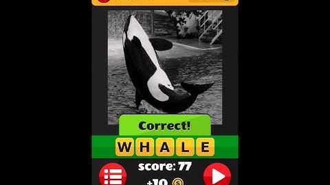 Pop the Pic Black and White Level 1 Answers