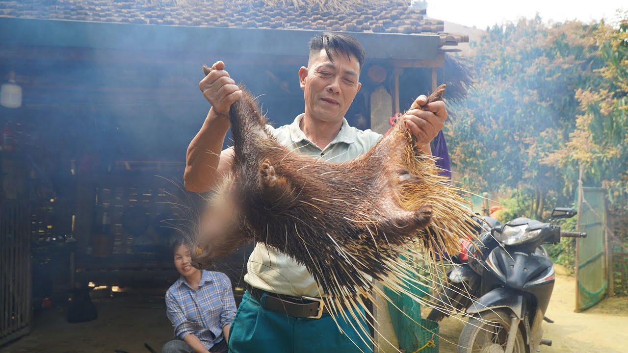 THỊT NHÍM MỜI CẢ HỌ MỘT BỮA HOÀNG TRÁNG | Nhịp Sống Thường Ngày