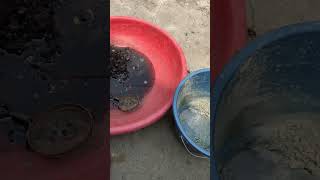 Parad Murcary Ka Rodhan Sanskar 6Th Pare Ki Kriya Vigyan