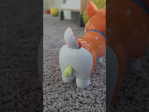 Hilarious Doggie Doo