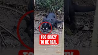 Nature Moments That Are Too Crazy To Be Real...but Are