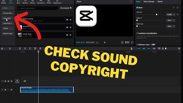 How to Check Sound Copyright for Your Videos in CapCut PC (2024) | Step-By-Step Tutorial
