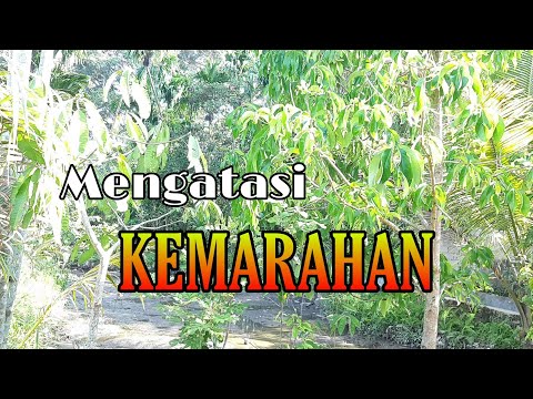 Video: Kemarahan Roh - Pandangan Alternatif