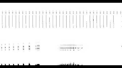 CARFACSAI_movie_asa27_pitch_circularity