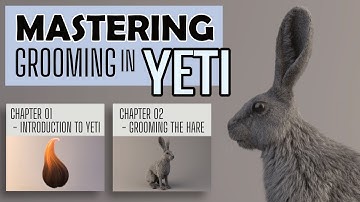 MASTERING GROOMING IN YETI 4