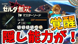 ゼルダ無双 厄災の黙示録 マスターソードが覚醒 隠された能力が強すぎる Hyrule Warriors Age Of Calamity Comparison Naotin Youtube