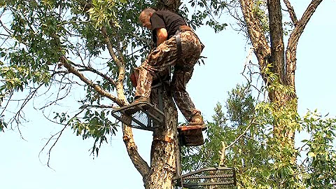 David Blanton Loves Hanging Treestands