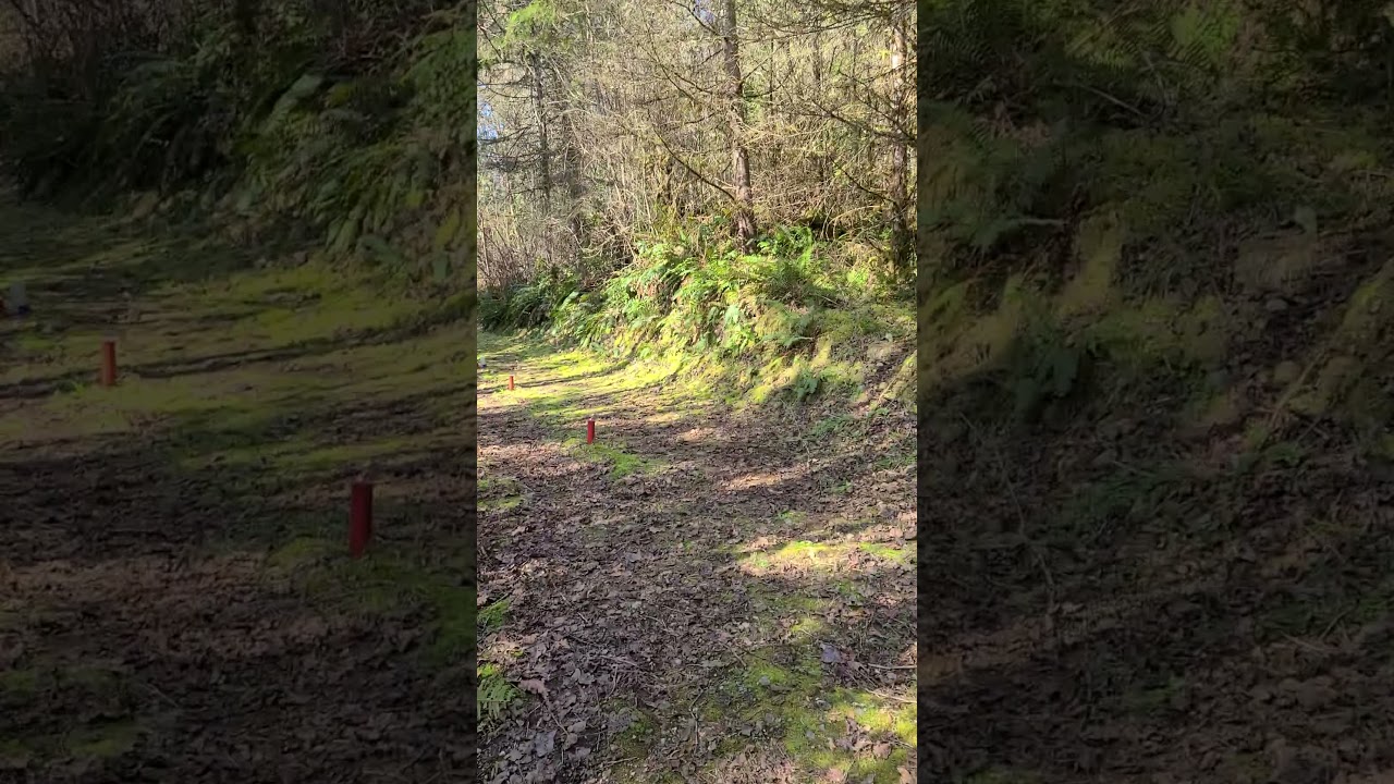 shooting my Bear kuma 33 YouTube