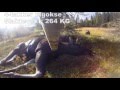 Hunting european moose_elk in Telemark, Norway
