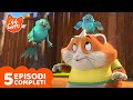 44 Gatti | Top 5 Polpetta | Episodi Completi 🎬