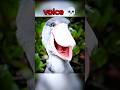 &quot;Shoebill Sound 💀💀 Unique and Eerie Call&quot;