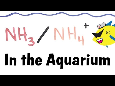 Ammonia and Ammonium