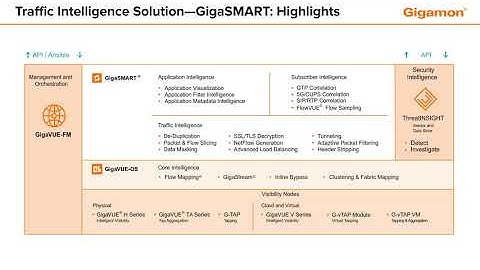Traffic Intelligence Solution—GigaSMART: Highlights