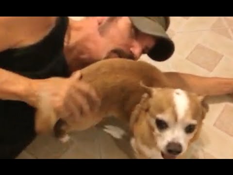 Bottle Rockets 'Dog'