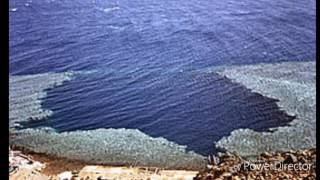 El Cementerio De Buceadores