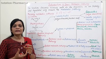 Class (01) = Metabolic Pathway | Introduction to Basic Metabolic Pathway
