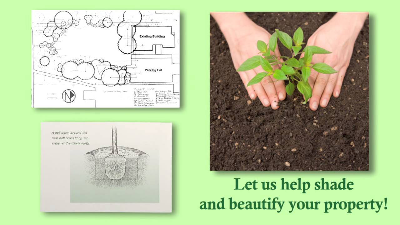 City of Anaheim TreePower Program