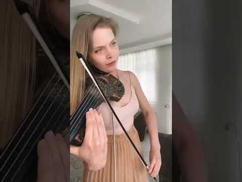 اللي يعرف نوع الكمان يكتبه