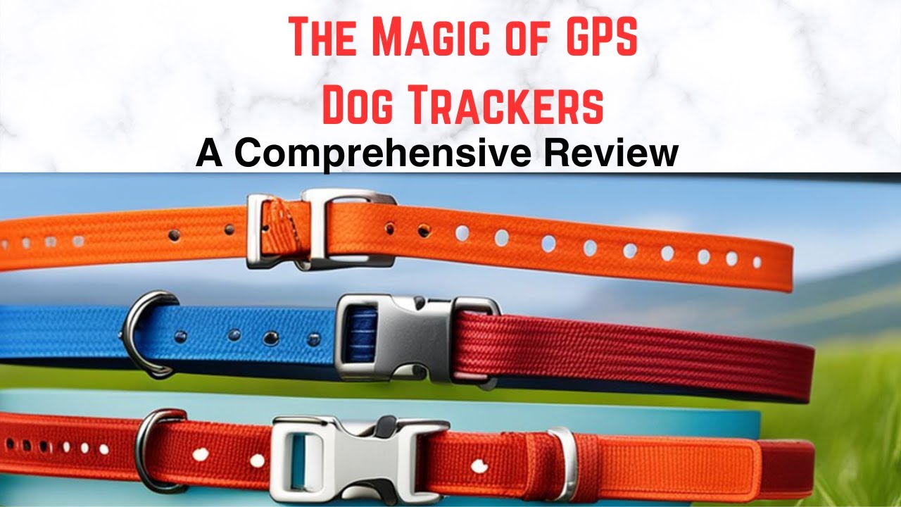 The Ultimate GPS Dog Tracker The Answer To All Your Dog Tracking Needs. YouTube