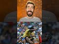 A Copa em Cores