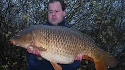 carp team dalfsen, big carp from Holland and France