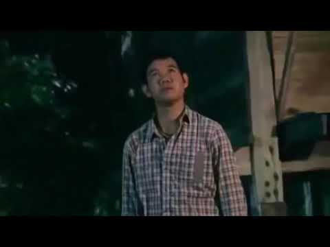 Wik Wik Wik Thailand Song