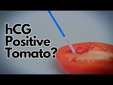 Can a Tomato