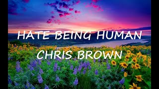 Chris Brown -Hate Being Human (Lyrics)