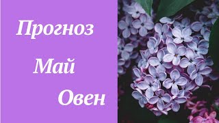 Астрологический и Таро прогноз на май 2024. Овен