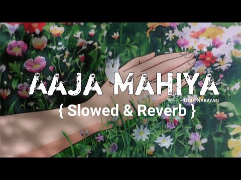 Aaja Mahiya { Slowed And Reverb Song } Hrithik Roshan & Neha | Udit Narayan, Alka Yagnik & Prashant