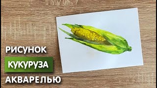 Как нарисовать кукуруза карандашом и акварелью начинающим | Рисунок для детей