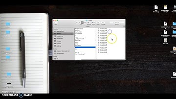 Exporting Your Animation to a Movie File