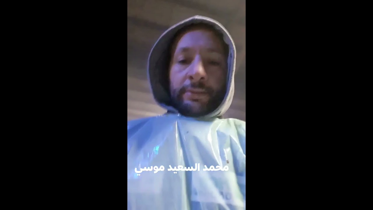 ولادة توأم في الأبقار مع محمد السعيد موسى #جمعة_مباركة عليكم