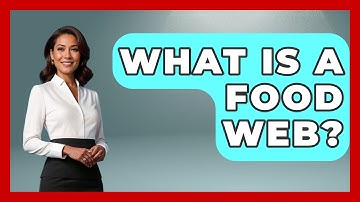 What is a Food Web? - Ecosystem Essentials