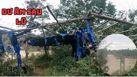 Dư Âm Mùa Lũ: Toàn Cảnh Sêrêpôk & Thác Dray Nur Ngày Nước Lớn