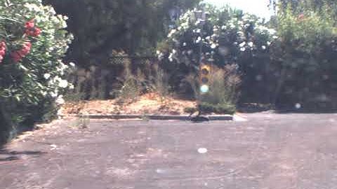 Self-Driving Car Engineer Nanodegree Program - Capstone Project - Carla Run 2