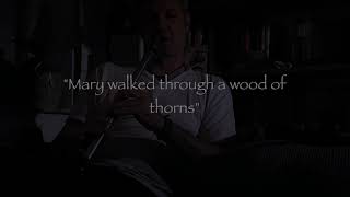 Mary walked through a wood of thorns - irish low whistle meditation