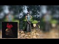 Black Sherif  - Soja Official Video