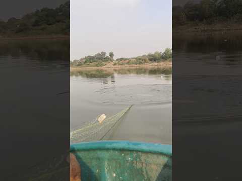 మన బంధువు మళ్లీ వచ్చాడు Mawa 🐟🔥😍 #fishing #fish