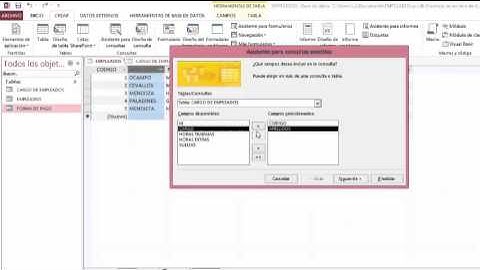 Cómo agregar campos existentes en Access?