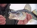 [Школа рыболова] - Ловля судака по последнему льду (часть 1)