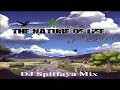 The Nature of Life Riddim Mix 2024_DJ Spitfaya_ft_Lutan Fyah_Jah Mason_Jah Bert_Branicle_Natty Kutch
