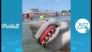 Funny Shark Puppet Instagram Videos Compilation 2019 | Best Shark Puppet videos (W\/Tittles)