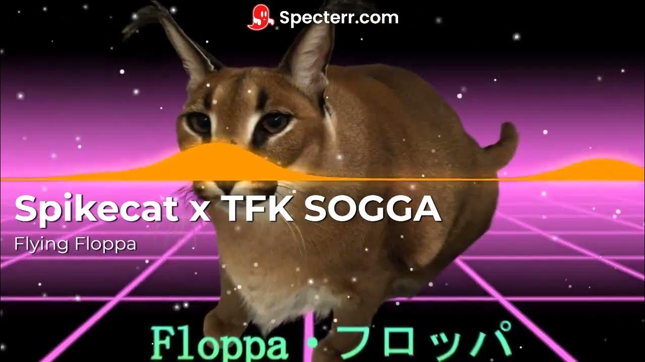 Spikecat x TFK SOGGA - Flying Floppa [Floppapedia EP] - YouTube