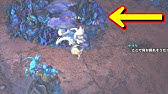 Mhw 全てのマップギミックや落石ポイント モンハンワールド Youtube