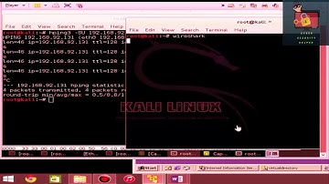 hPing3 Lab with using kali linux tutorial step by step