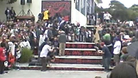 Chris Cole switch fs flip wallenberg