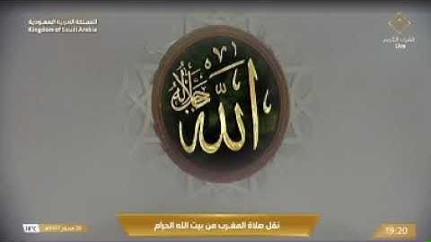 من أجمل أبداعات الشيخ بندر بليلة تلاوة صلاة المغرب والعشاء تفوق الخيال والوصف الكرد الحزين