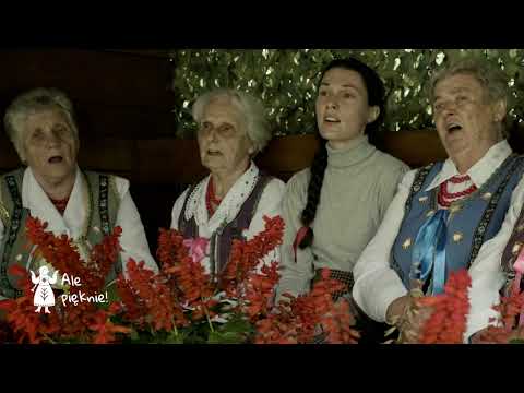 Długołęczanki / Julia Piech - Rośnie w polu sosna #alepięknie