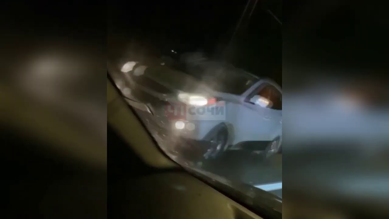 Корова стала причиной дтп